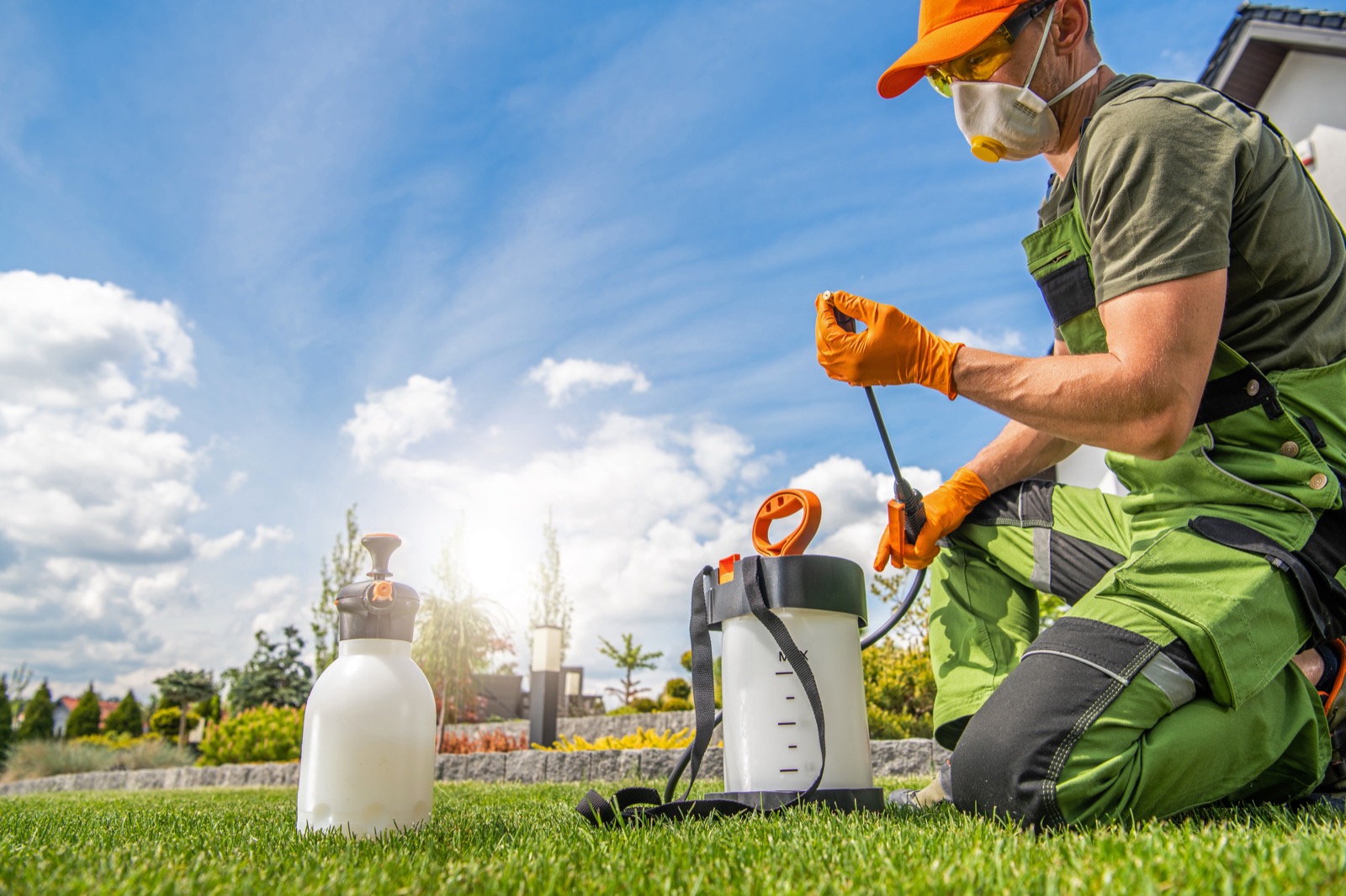 Pest Control services by a vetted LocalFixx pro