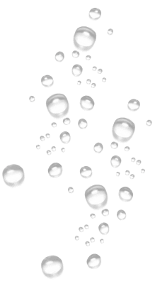 Decorative shape